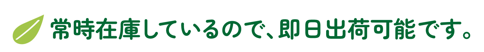 2024年4月に標準規格化予定です。