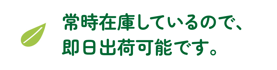 2024年4月に標準規格化予定です。