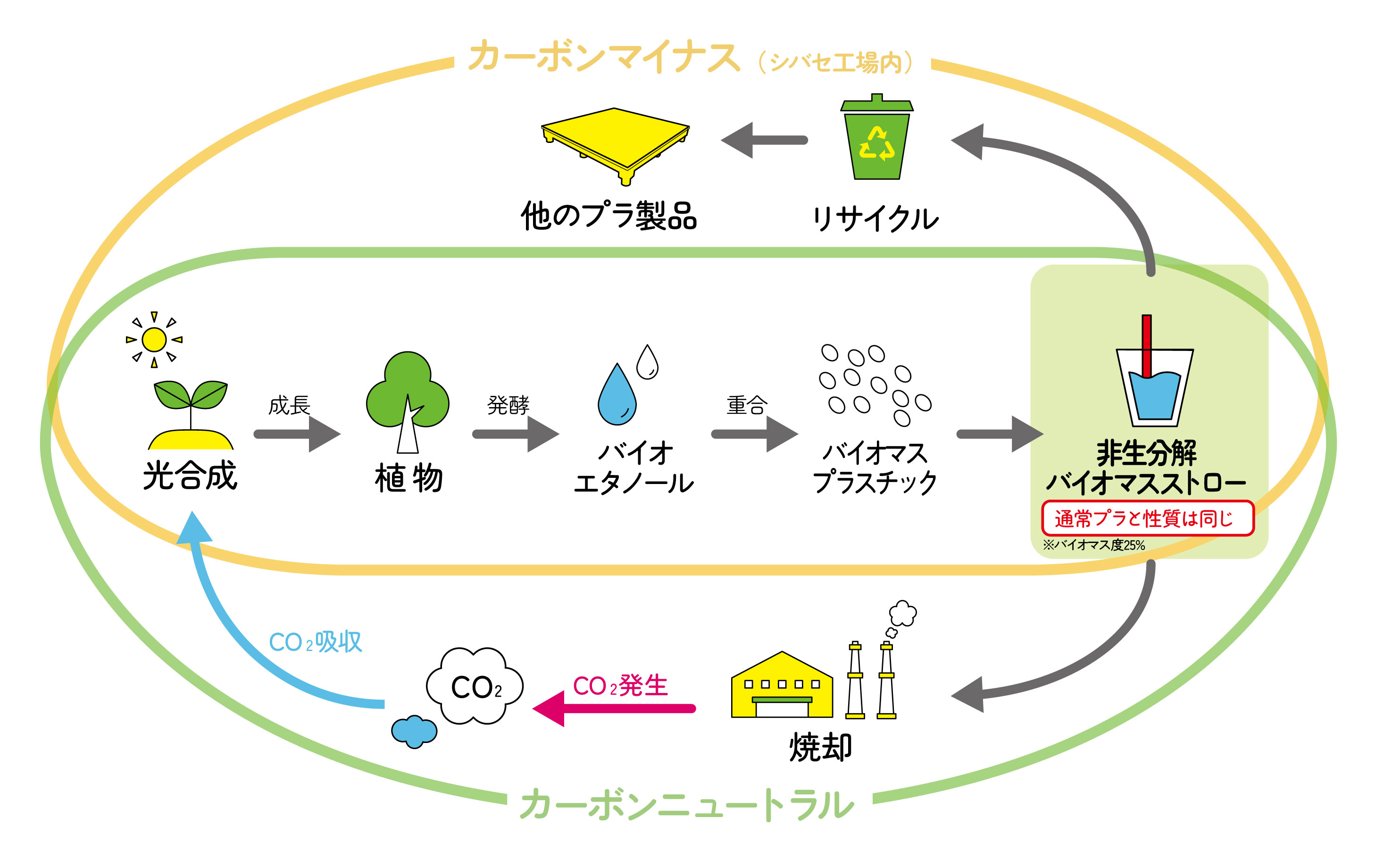 バイオマスライフサイクル表