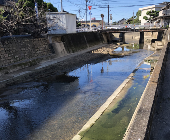 里見川の清掃